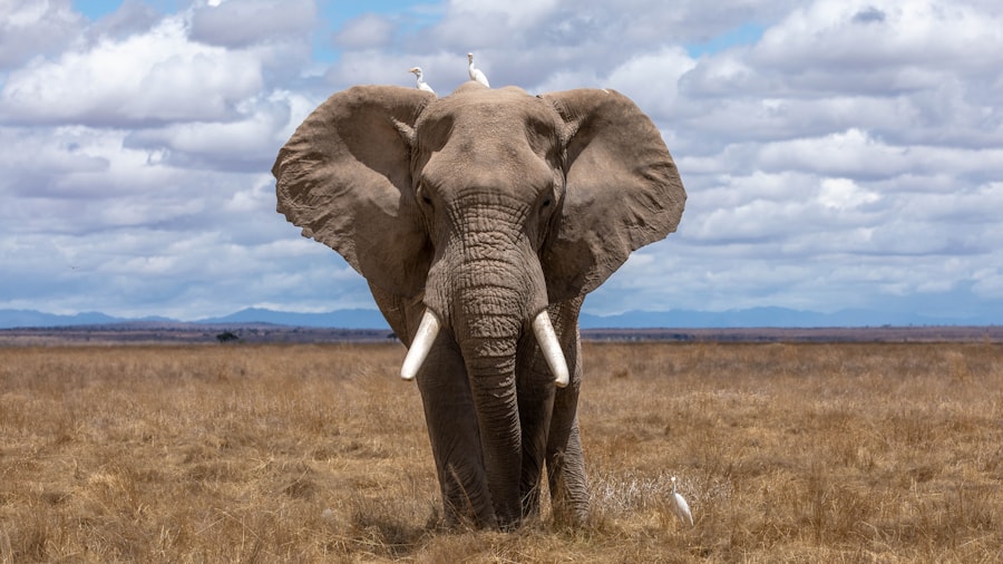 Travellers sharing a meaningful safari experience in East Africa